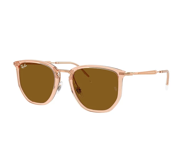 Lunettes de soleil Ray-Ban RB4451 680133 50 20 Marron
