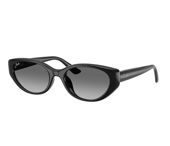 Lunettes de soleil Ray-Ban RB4457D 667711 55 19 Noir