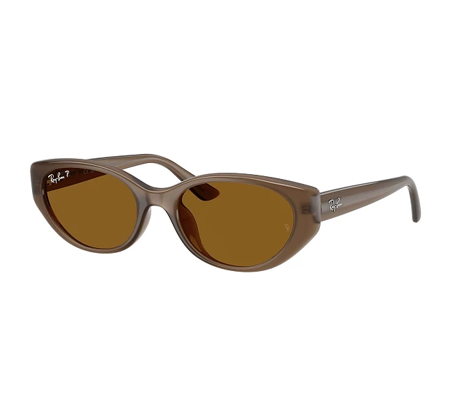Lunettes de soleil Ray-Ban RB4457D 677983 55 19 Marron