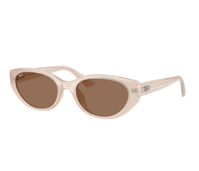 Lunettes de soleil Ray-Ban RB4457D 678673 55 19 Marron