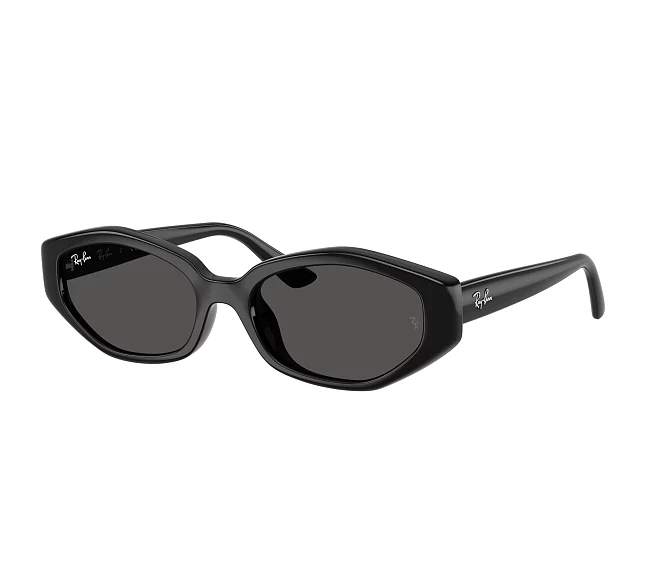 Lunettes de soleil Ray-Ban RB4473D 667787 56 18 Noir