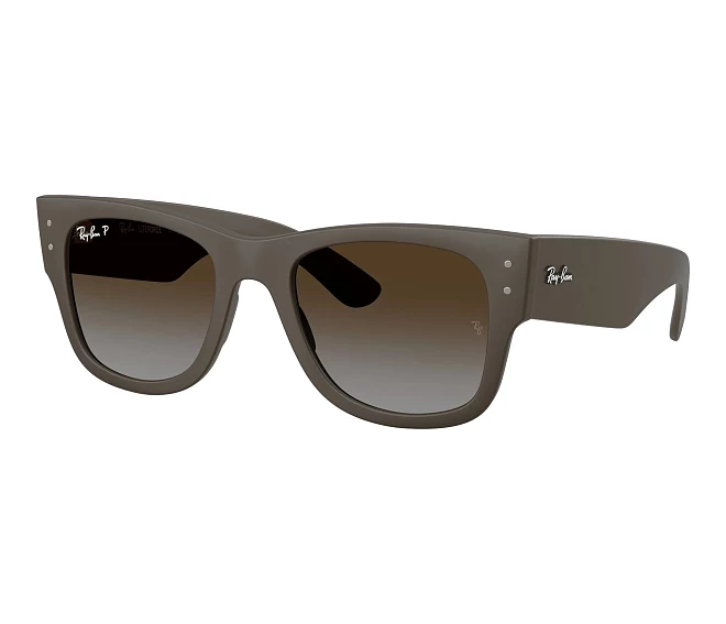 Lunettes de soleil Ray-Ban RB4840S 6124T5 50 21 Marron