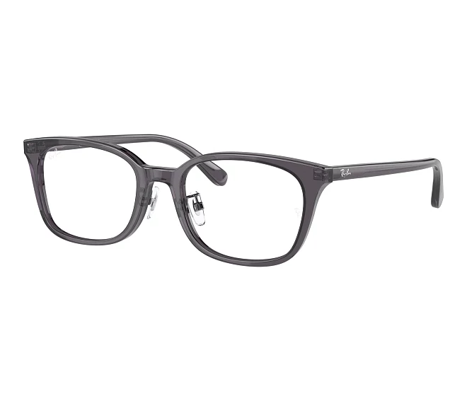 Lunettes de vue Ray-Ban RX5407D 5920 52 19 Gris