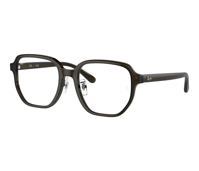 Lunettes de vue Ray-Ban RX5424D 8218 54 19 Vert