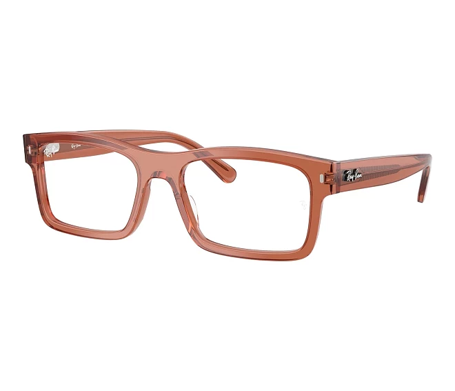 Lunettes de vue Ray-Ban RX5435 8511 54 19 Marron