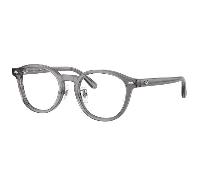 Lunettes de vue Ray-Ban RX5443D 8268 49 20 Gris