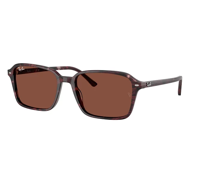 Lunettes de soleil Ray-Ban RB2231 1416C5 56 18 Violet