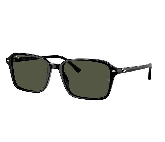 Lunettes de soleil Ray-Ban RB2231 901/31 56 18 Noir