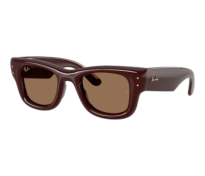 Lunettes de soleil Ray-Ban RB4940 687773 47 23 Marron