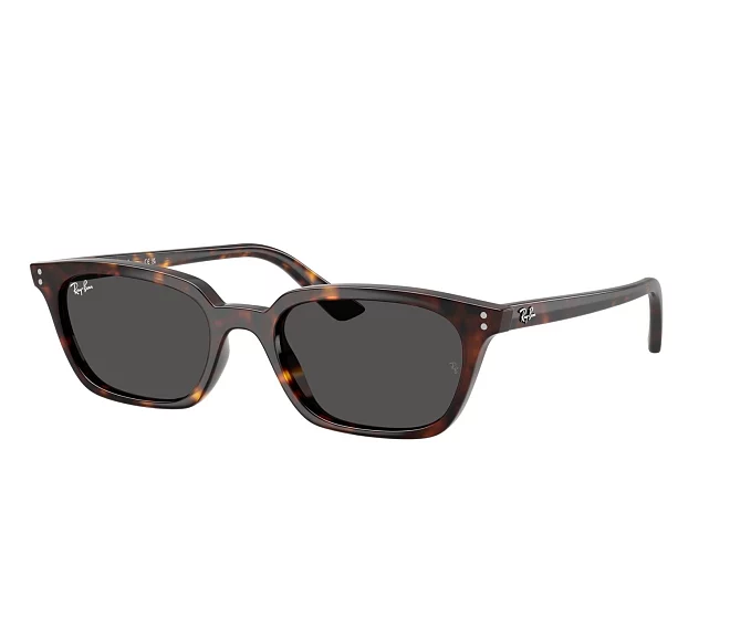 Lunettes de soleil Ray-Ban RB4456 135987 50 19 Havane