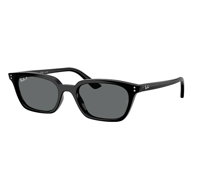Lunettes de soleil Ray-Ban RB4456 667781 50 19 Noir