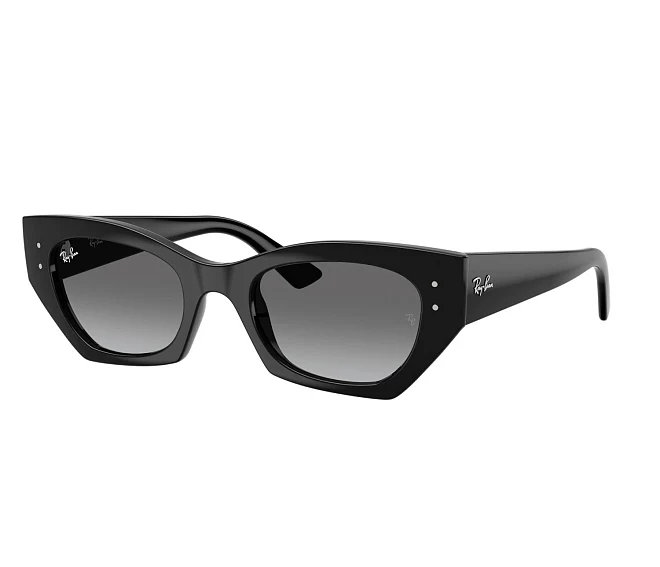 Lunettes de soleil Ray-Ban RB4430 667711 49 22 Noir