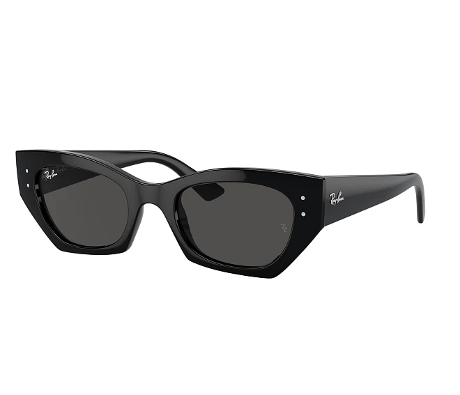 Lunettes de soleil Ray-Ban RB4430 667787 49 22 Noir