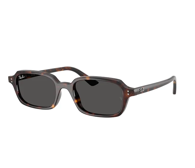 Lunettes de soleil Ray-Ban RB4455 135987 49 19 Havane