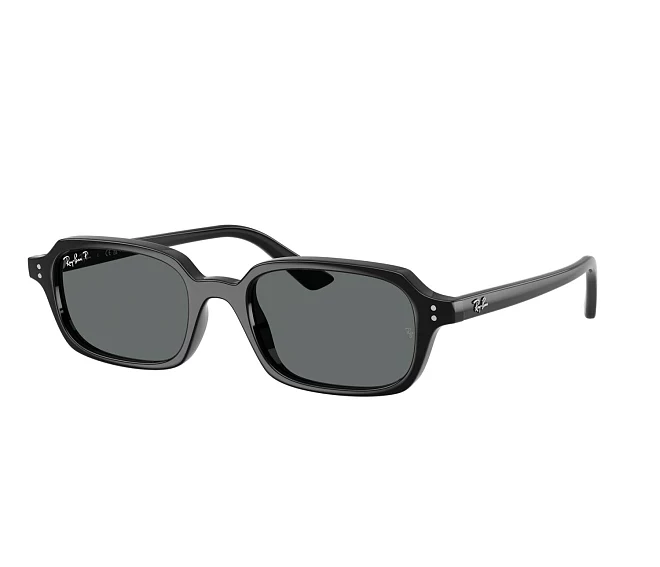 Lunettes de soleil Ray-Ban RB4455 667781 49 19 Noir