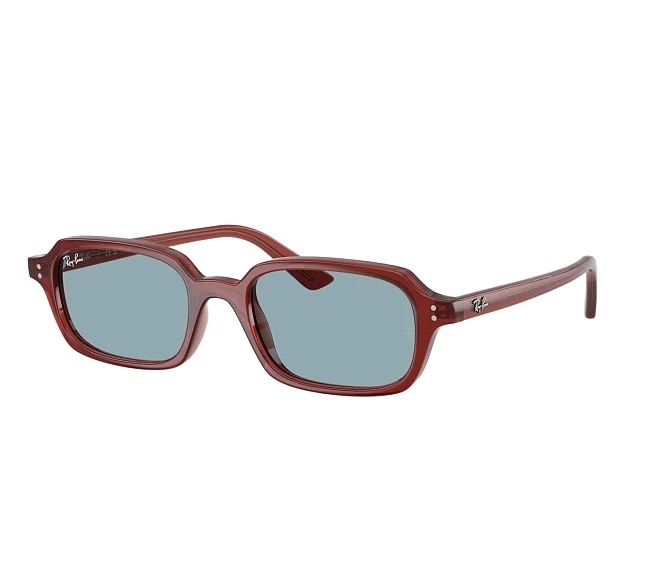 Lunettes de soleil Ray-Ban RB4455 680980 49 19 Marron
