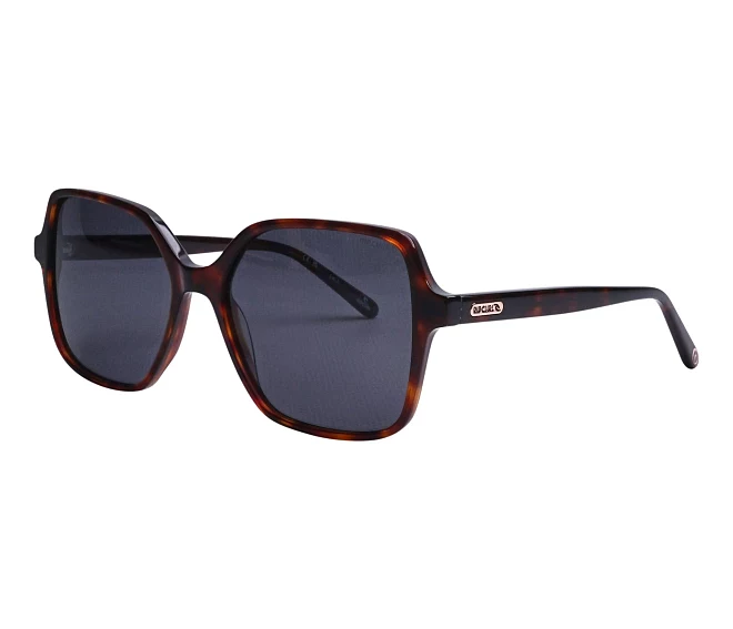 Lunettes de soleil Ripcurl FSA089 03 56 16 Marron