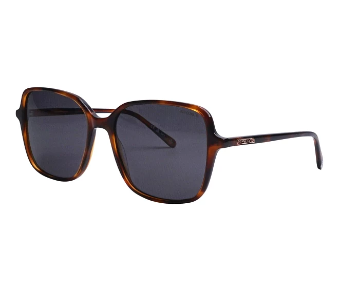 Lunettes de soleil Ripcurl FSA090 03 56 17 MarronOr