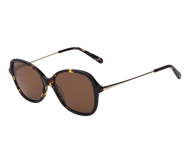 Lunettes de soleil Ripcurl GSA021 02 50 15 MarronOr