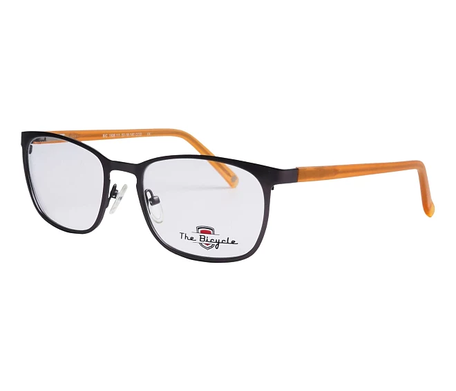 Lunettes de vue Signature BIC1606 111 52 18 GrisMarron