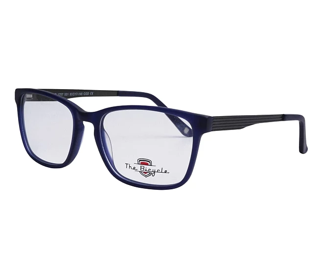 Lunettes de vue Signature BIC1707 531 53 17 BleuGunmetal