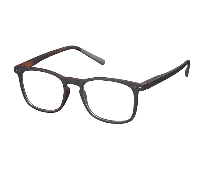 Lunettes de vue Solar JSLR02 51 51 19 Havane