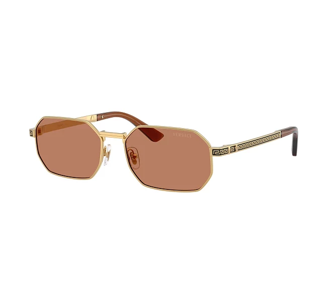 Lunettes de soleil Versace VE2297 100273 54 16 Or