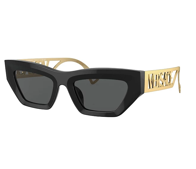 Lunettes de soleil Versace VE4432U GB1/87 53 20 Noir