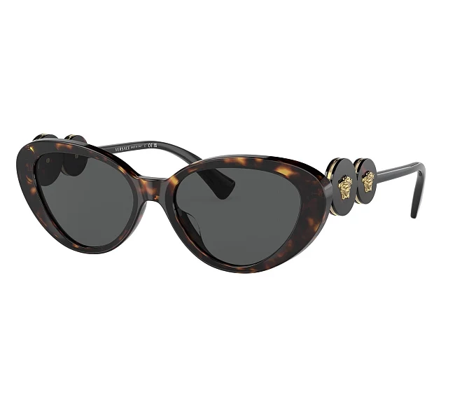 Lunettes de soleil Versace VE4433U 108/87 54 17 Havane