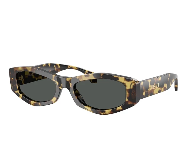 Lunettes de soleil Versace VE4487 777/87 54 19 Havane