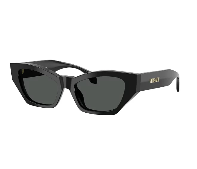 Lunettes de soleil Versace VE4488U GB1/87 53 17 Noir