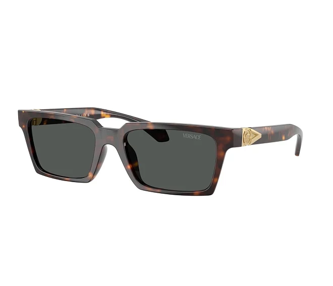 Lunettes de soleil Versace VE4490U 108/87 55 18 Havane