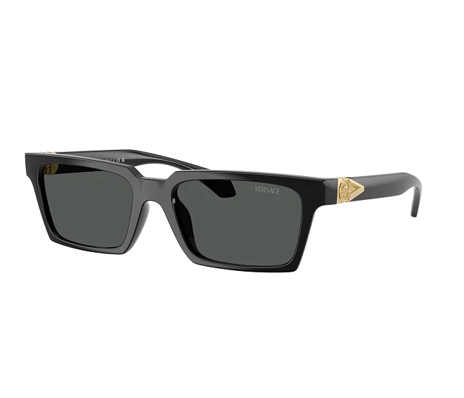 Lunettes de soleil Versace VE4490U GB1/87 55 18 Noir