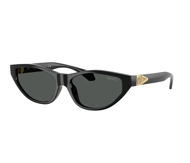Lunettes de soleil Versace VE4491U GB1/87 55 16 Noir