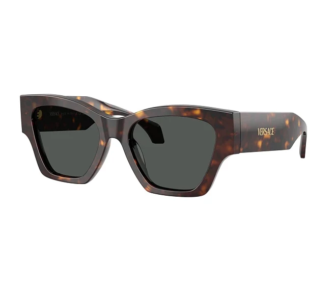 Lunettes de soleil Versace VE4492U 108/87 53 18 Marron