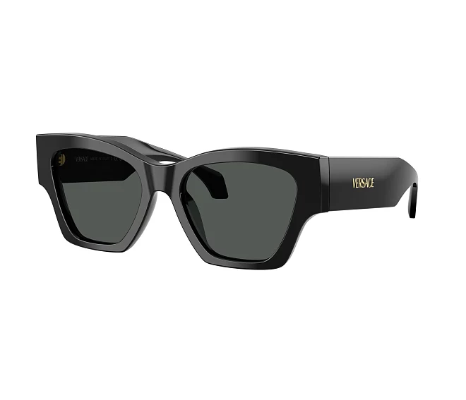 Lunettes de soleil Versace VE4492U GB1/87 53 18 Noir