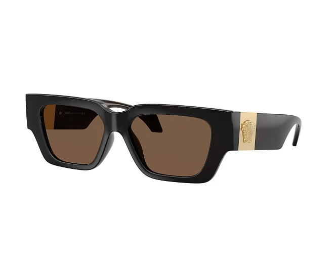 Lunettes de soleil Versace VE4497U 554373 53 15 Marron