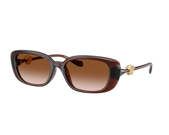 Lunettes de soleil Versace VE4504D 533213 56 18 Marron