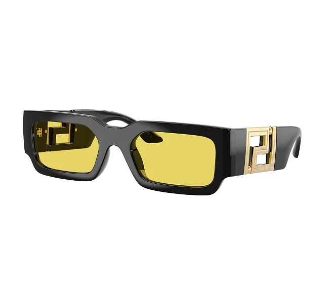 Lunettes de soleil Versace VE4506U GB1/85 54 21 Noir