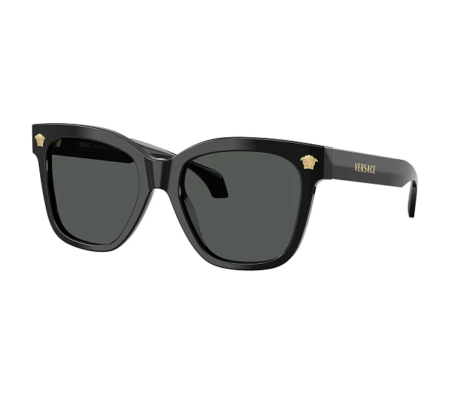 Lunettes de soleil Versace VE4511 GB1/87 55 19 Noir