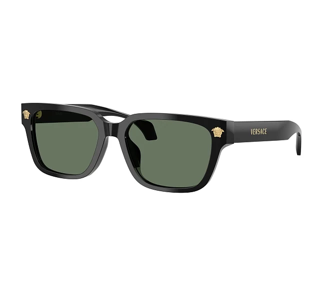 Lunettes de soleil Versace VE4513D GB1/82 56 17 Noir