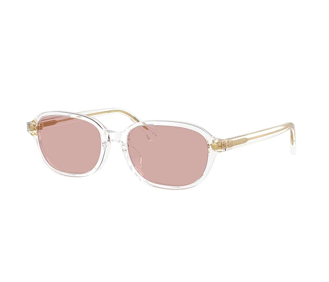 Lunettes de soleil Versace VE4514D 148/84 53 17 Cristal