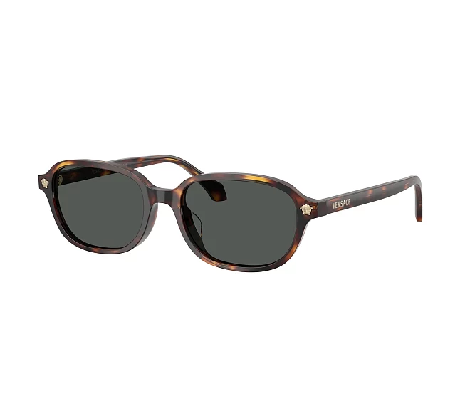 Lunettes de soleil Versace VE4514D 553773 53 17 Havane