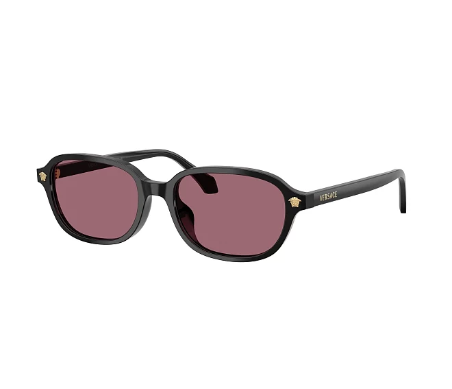 Lunettes de soleil Versace VE4514D GB1/1A 53 17 Noir