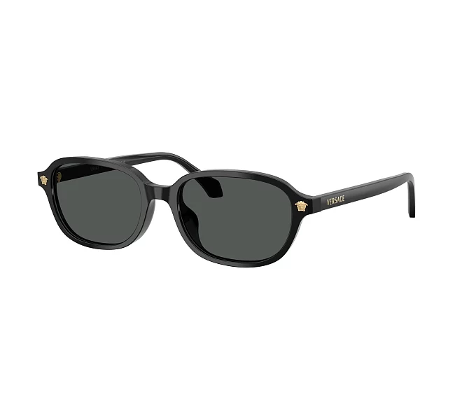 Lunettes de soleil Versace VE4514D GB1/87 53 17 Noir
