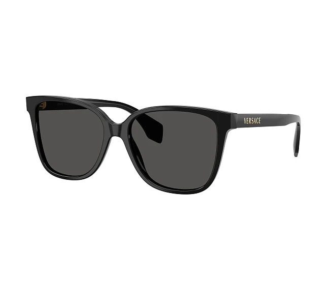 Lunettes de soleil Versace VE4523 GB1/87 56 16 Noir