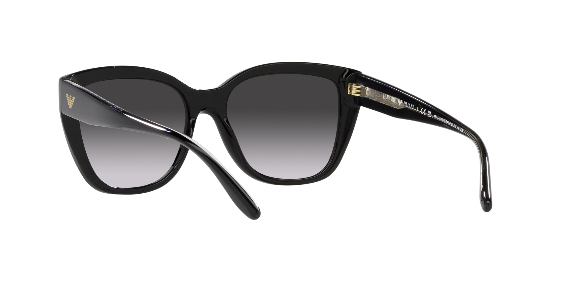 Emporio Armani EA4198 50178G 55-17 Noir  vue 360 degr&eacute;s 6