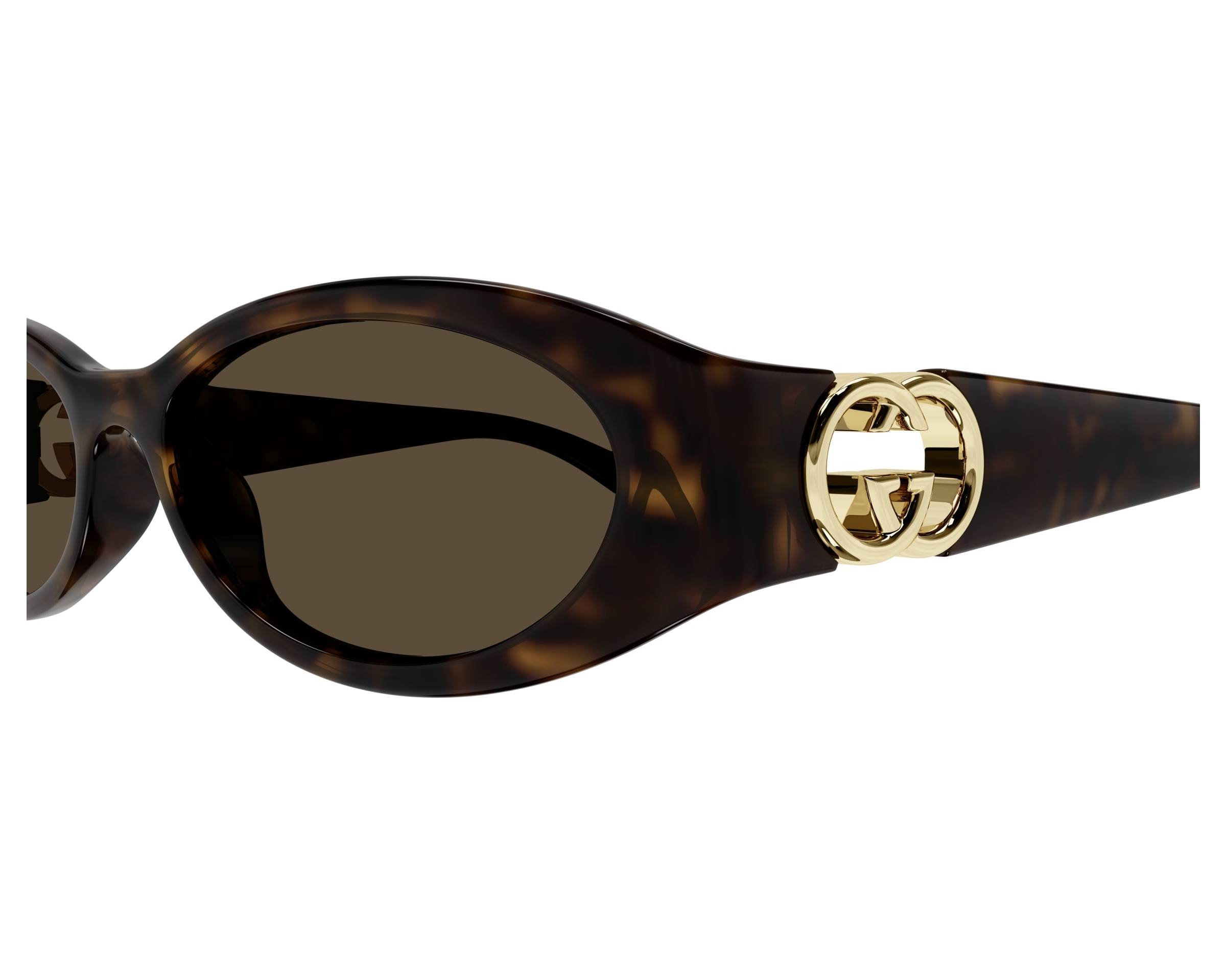 Gucci GG1660S 002 54-16 Havana  vue de c&ocirc;t&eacute;