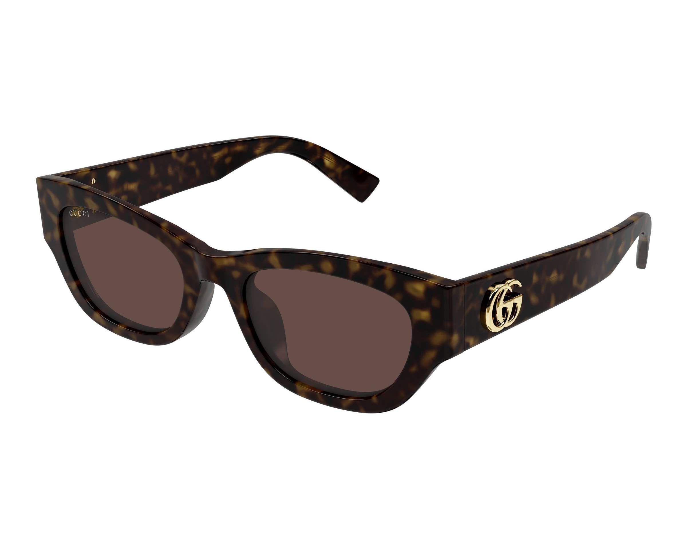 Gucci GG1954SA 002 53-20 Havana  vue de profil