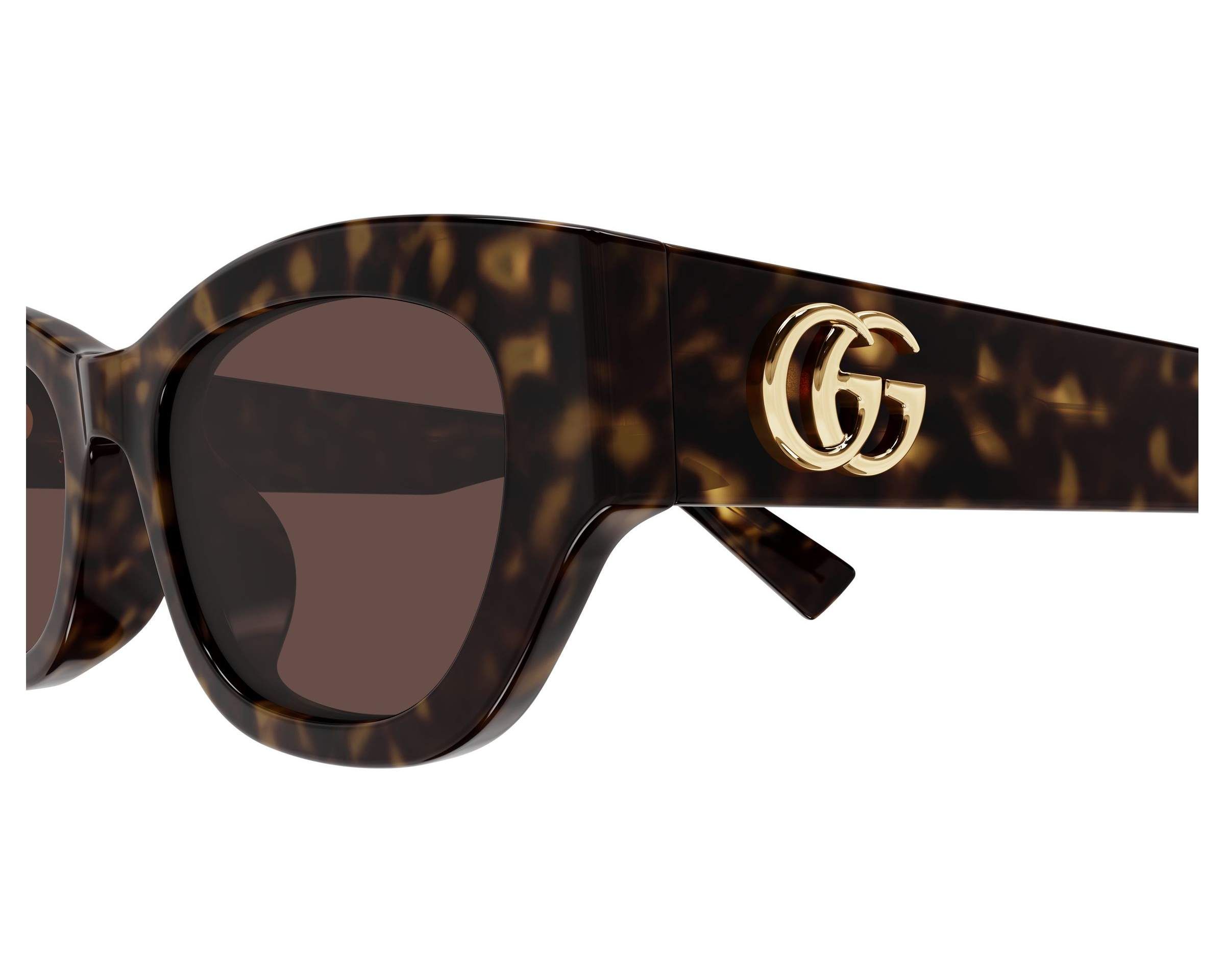 Gucci GG1954SA 002 53-20 Havana  vue de c&ocirc;t&eacute;